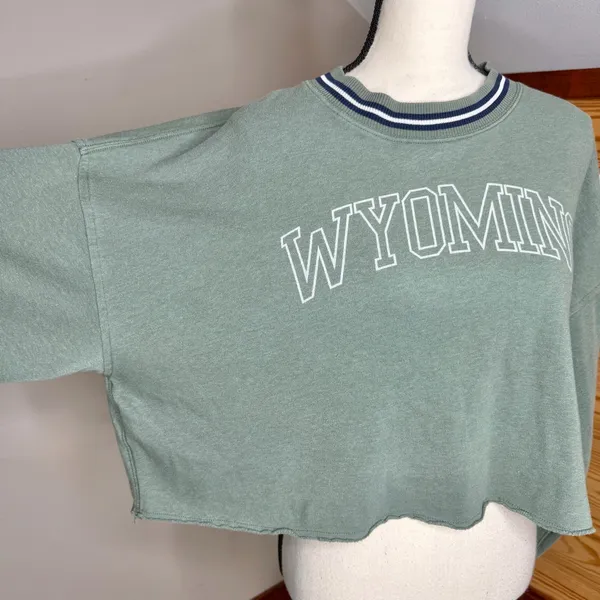 American Eagle Oversized Cropped Wyoming Pullover Sweatshirt Green Medium M - Image 4