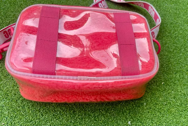 UGG Janey Il Clear crossbody bag, - Image 4