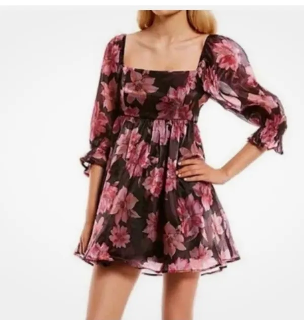 Thirty/Thirty LA Floral Organza Babydoll Dress Sz L - Image 3