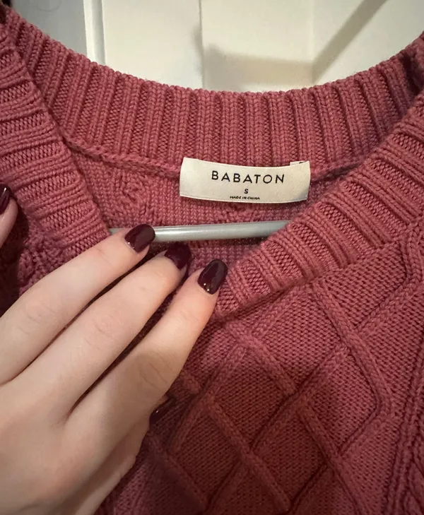 Aritzia Babaton Sweater - Image 2