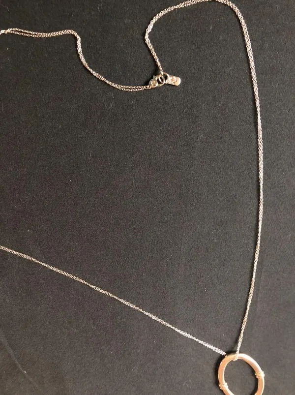 Lauren Ralph Lauren light gold tone LONG double chain necklace with pendant - Image 7