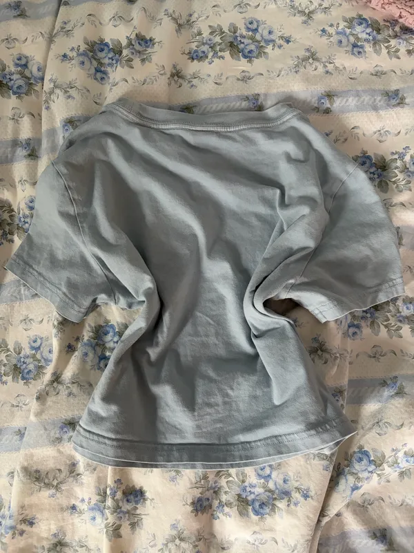 Aritzia light blue cropped tee - Image 3