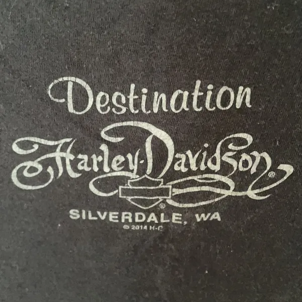 Harley Davidson Supercharged Slim Fit Tee Large Motorcycle Bikes Riding - Image 3