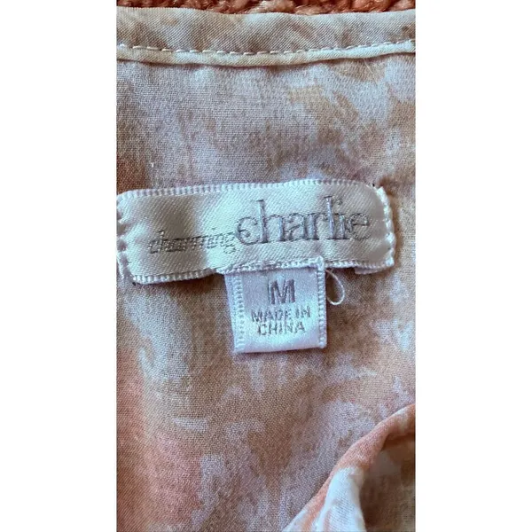 Charming Charlie Sheer Chiffon Blouse Boho Tie Neck Lightweight Size M - Image 2
