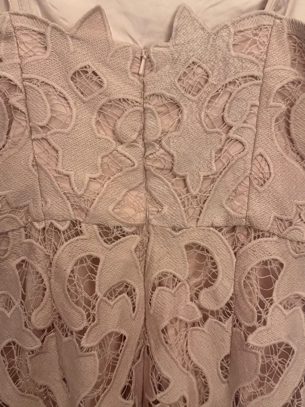 Bardot Lina Lace Sheath Dress - Image 8