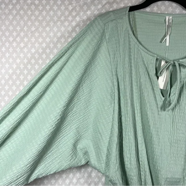 Anthropologie NWT Light Green Smocked Bat Sleeve‎ Top - Image 3