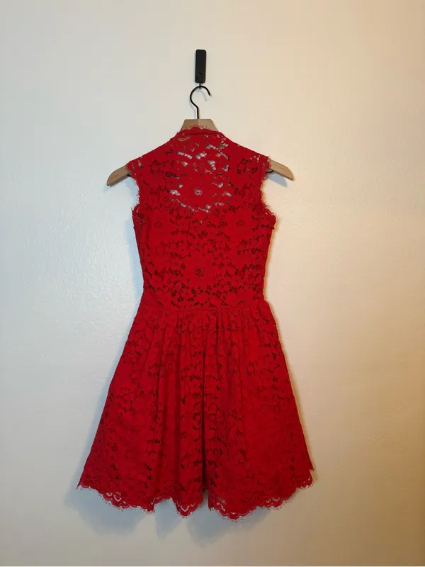 Alexis Full Lace Mini‎ Dress - Image 3
