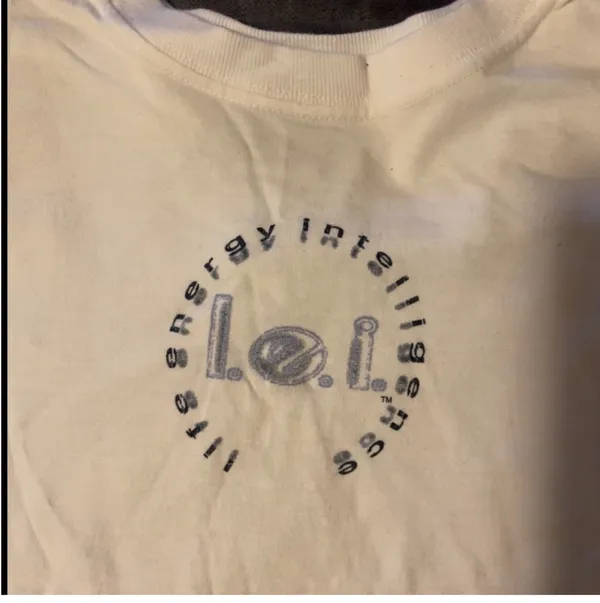 Princess Polly Y2K Lei crop top baby tee vintage - Image 4