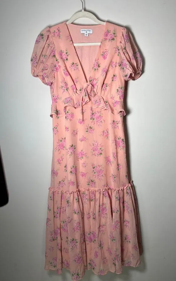 LoveShackFancy x Target Fleur Dress EUC Sz 8 - Image 13