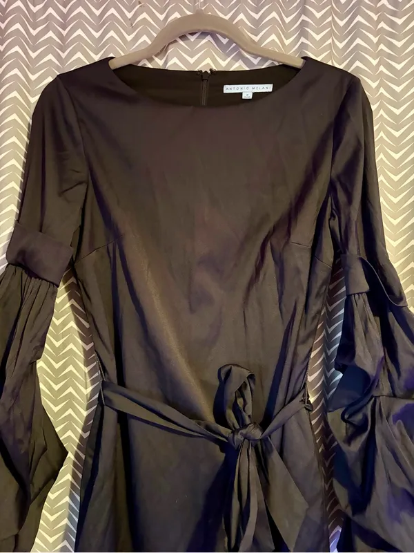 Antonio Melani | Theo Ruffle Black Dress, size 2 - Image 4