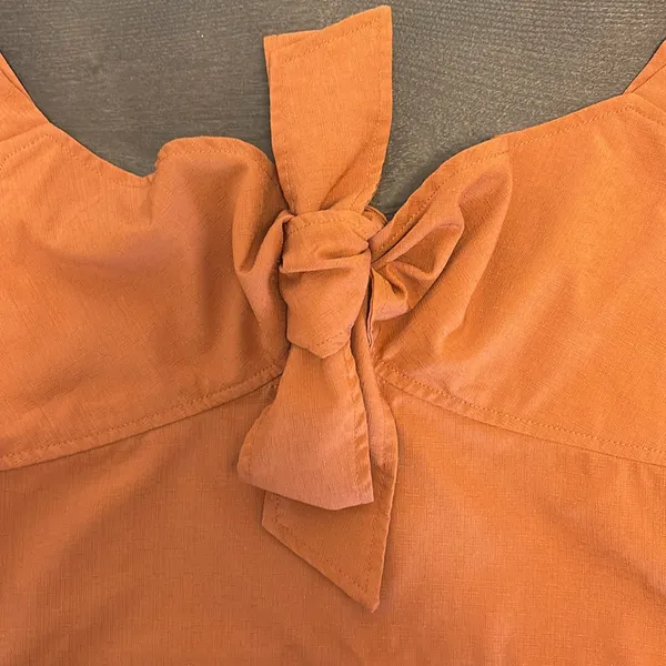 Cider Terracotta Ruffle Sleeve Crop Top - Image 5
