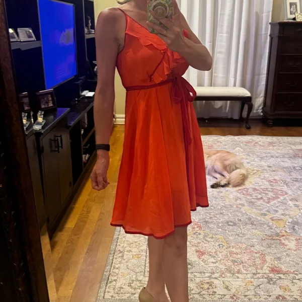 Girls from Savoy Anthropologie silk dress - Image 3