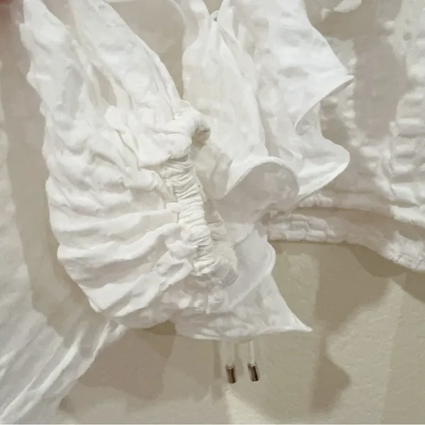 C/meo Collective Distinct Long Sleeve Ruffle Crop Blouse Top Size Small Preowned - Image 3