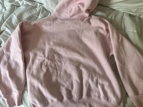 Authentic Life Apparel Pink Vintage Boston Hoodie - Image 4