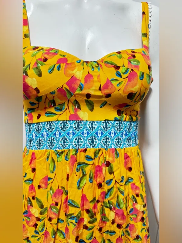 FARM Rio for Anthropologie Anjou Yellow Floral Maxi Dress with Blue Trim Size 0 - Image 9