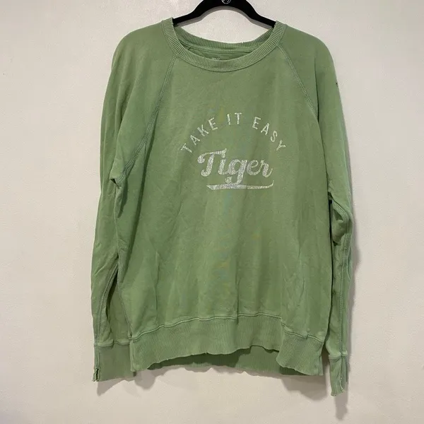 Aerie Take It Easy Tiger Green Sweatshirt Size S Oversized Graphic Crewneck - Image 2