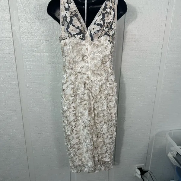 Adrienna Papell Off White Lace Overlay Sleeveless Dress Size 4 NWOT - Image 6