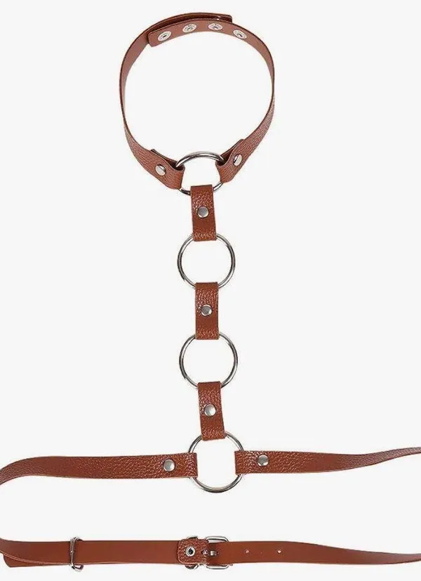 Brown Leather Harness with Silver Rings NEW - Image 3