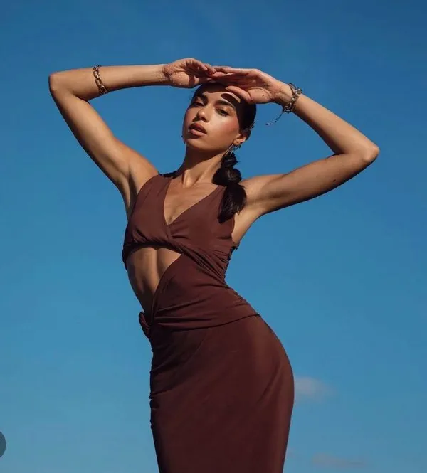 Zara dress fitted bodycon Brown Cutout Midi Party Wedding Coctail - Image 5