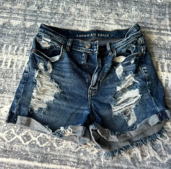American Eagle Outfitters Shorts - Image 2