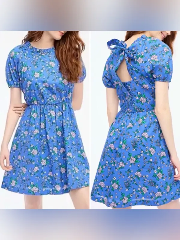 JCrew Factory Blue Floral Tie-Back Floral Dress Size 2 vacation resort wear - Image 2