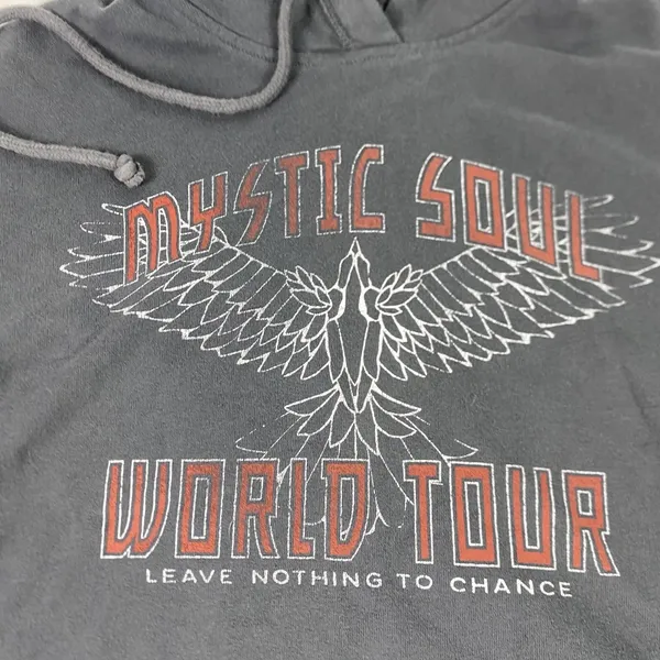 Hollister Hoodie Juniors XS Gray Mystic Soul World Tour‎ Cropped Fleece Pullover - Image 3