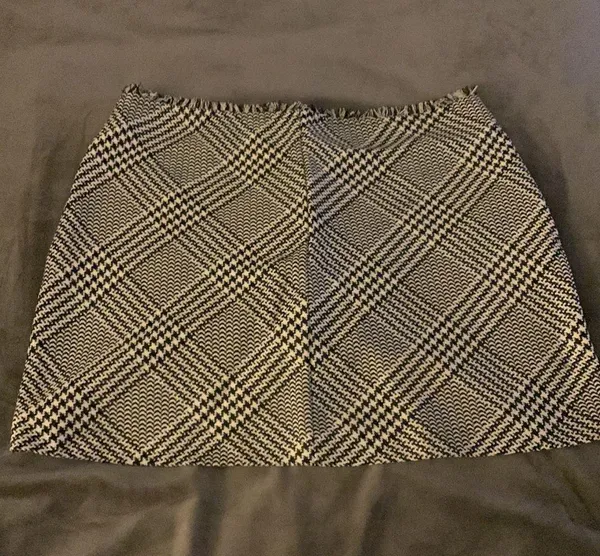 ZARA Skirt - Image 2
