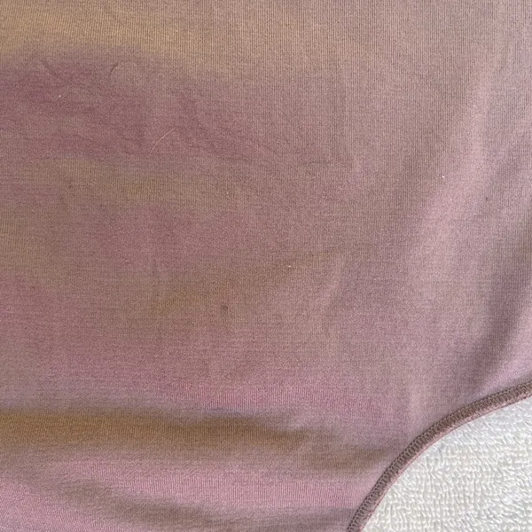 Babaton Aritzia Mauve Scoop-Neck Bodysuit minimalist classic basic effortless S - Image 7