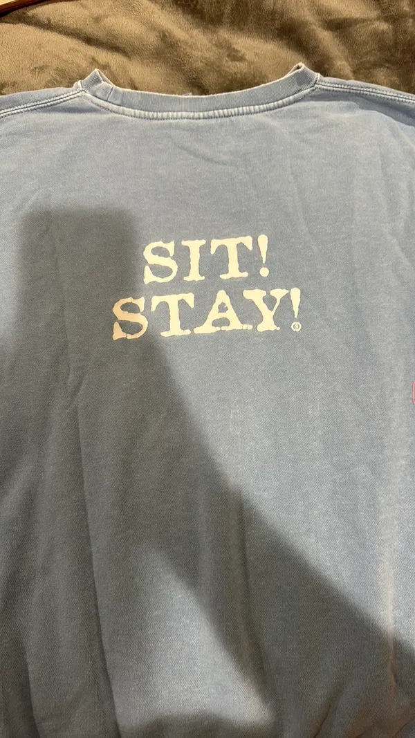 Light weight blue crewneck Size M - Image 2