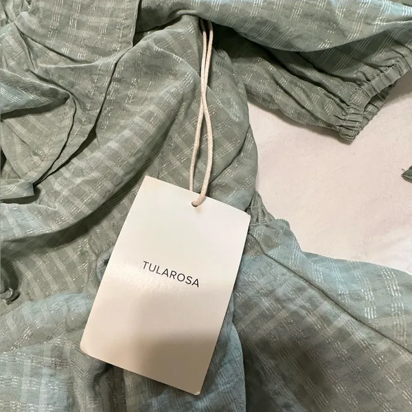 NWT Tularosa Maggie Top in Sage - Image 5