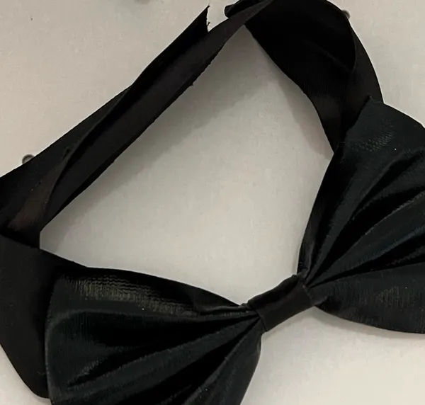 Cat Dress Up Costume Accessories Black Size undefined - Image 4