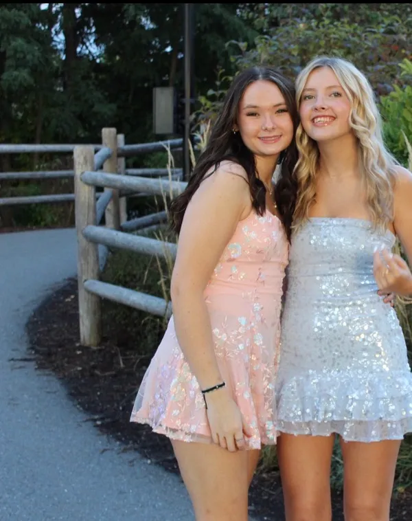 Pink Sparkly Windsor Homecoming Dress - Image 4