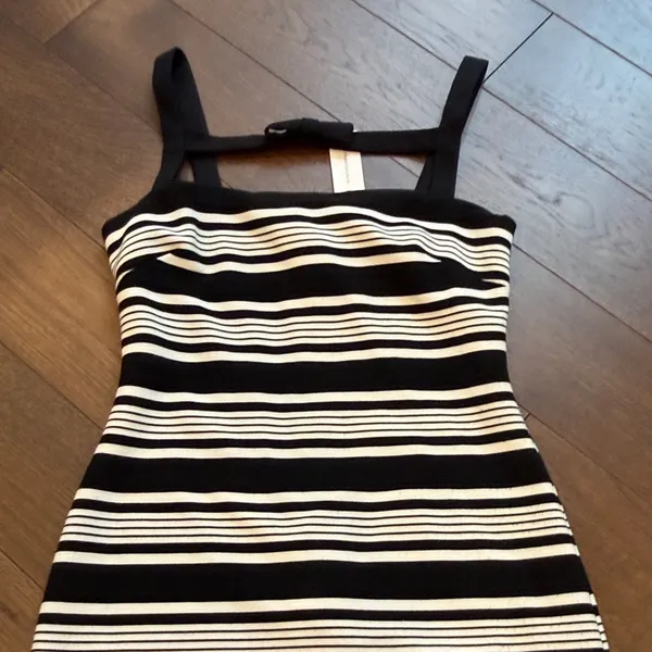Hutch Black and White Striped Bodycon Mini Dress Small NWT C11-115 - Image 5