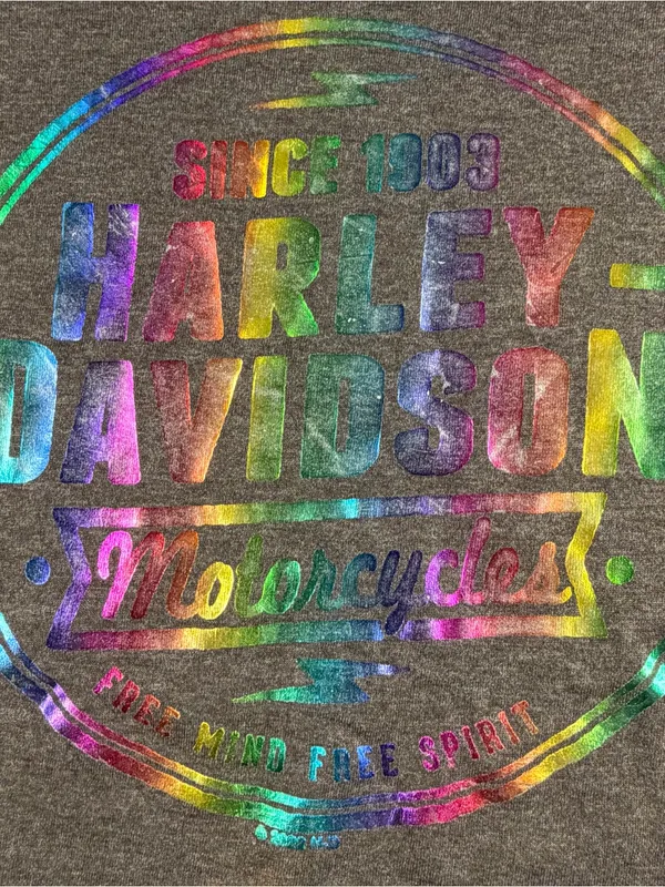Harley Davidson Space Coast Palm Pay Fl Shiny Iridescent Graphic Tee Gray Large - Image 2