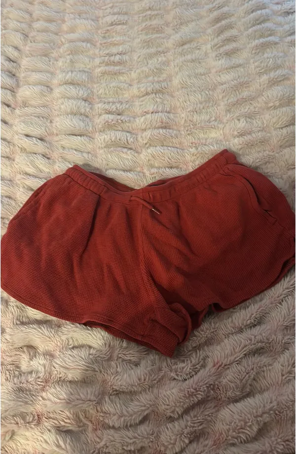 Brandy Melville Shorts - Image 4