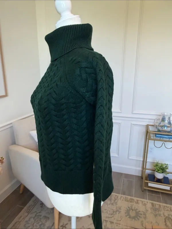 Aritzia Wilfred Free Lin Sweater 100% Wool Roll Neck Green XS - Image 4