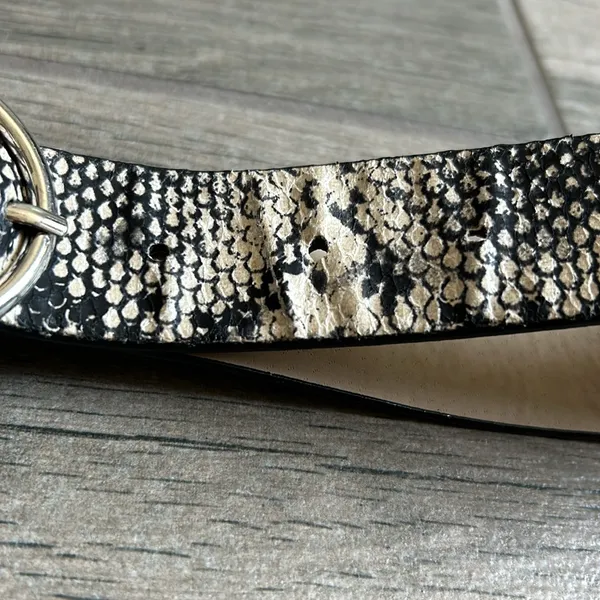 Snake print double circle belt Black - Image 3