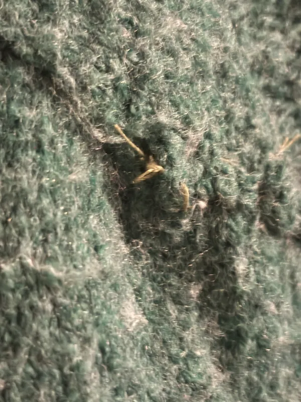 Sweater - Image 3