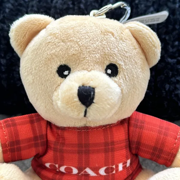 COPY - Coach Key Chain Teddy Bear Bag Charm Plush - Image 2