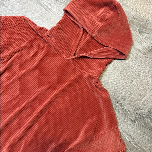 •Aerie• Velvet Hoodie - Image 4