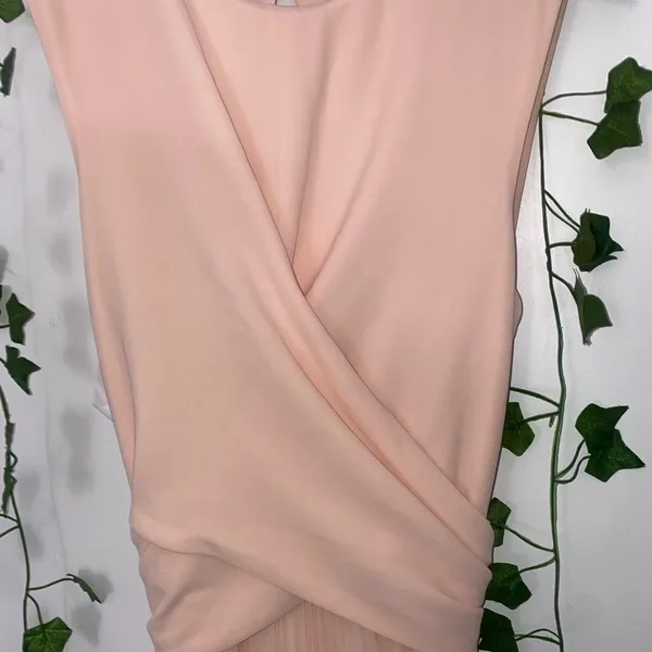 new size 4 womans light pink Fame and partners formal dress - Image 2