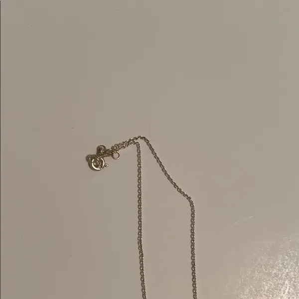 Turquoise Heart Zodiac Necklace♓️♐️♏️ Silver - Image 5