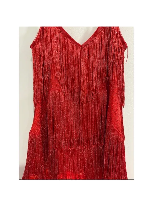 Red Fringe Gatsby Dress - Image 3
