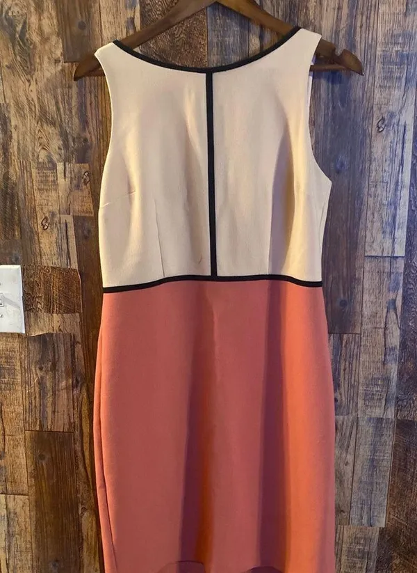 Ann Taylor Loft color block dress (Pink) size 8 - Image 2