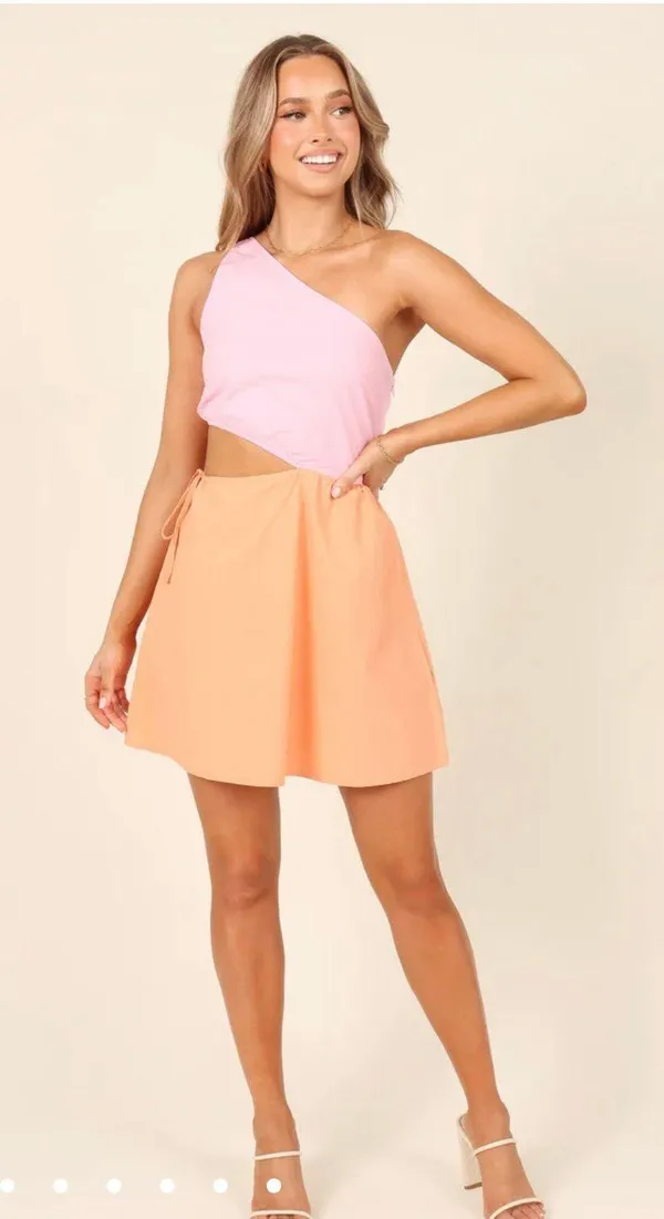 Petal and Pup Mini Dress - Image 4