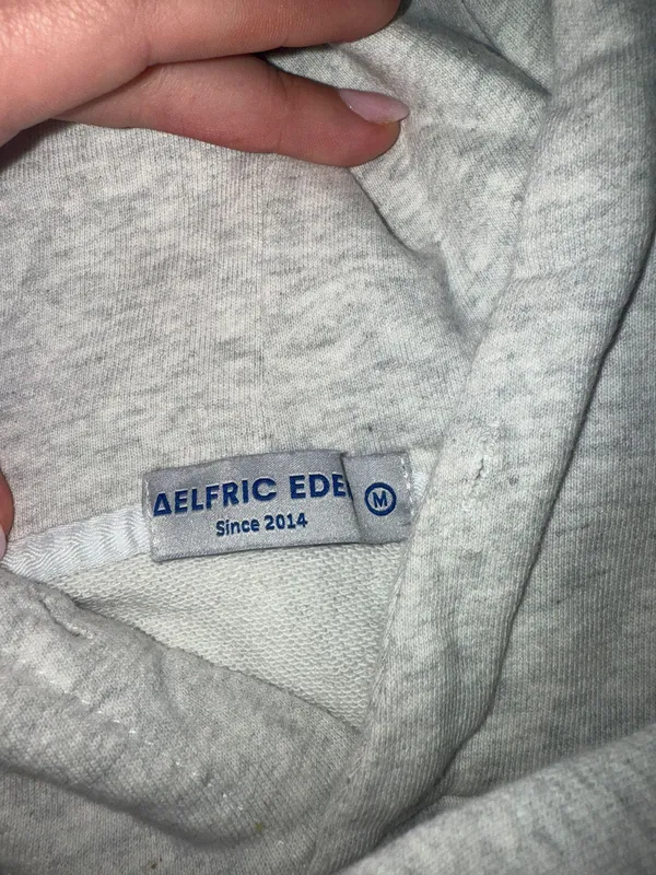 Aelfric Eden STELLARIS EMBROIDERED HOODIE - Image 4