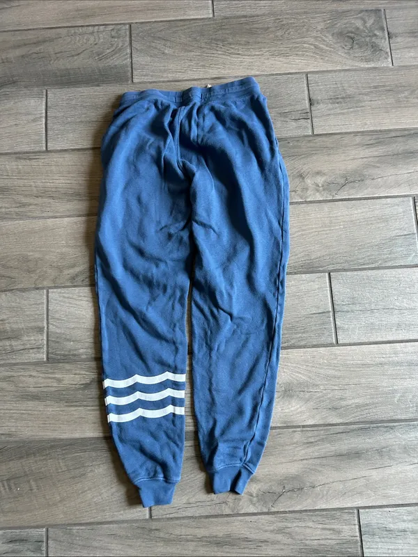 Sol Angeles Blue Jogger Sweatpants with White Stripe Detail - Image 5