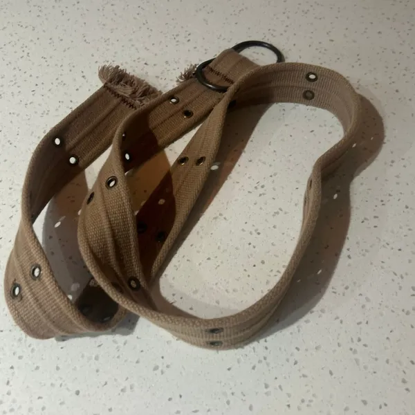 Belt Canvas Rivet Tan - Image 6