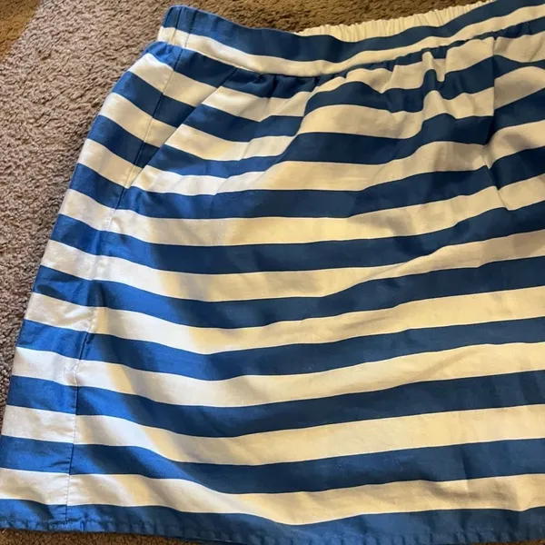 Lilly Pulitzer Blue Stripe Mimosa Skirt Size‎ Medium - Image 8