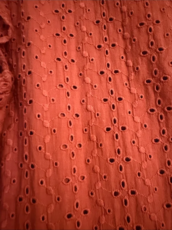 Knox Rose Rust Orange Eyelet V-Neck Swing Dress - Image 5